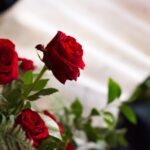 03.04.2026. Końskie. Kolegiata św. Mikołaja i Wojciecha. Grób Pański / Fot. Magdalena Galas-Klusek - Radio Kielce