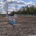 Stadnina w Pińczowie wraca do życia