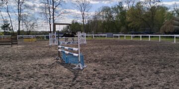 Stadnina w Pińczowie wraca do życia