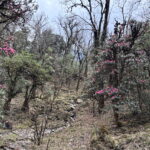 Muzyczne podróże przez świat. Szczyty marzeń - Radio Kielce