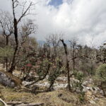 Muzyczne podróże przez świat. Szczyty marzeń - Radio Kielce