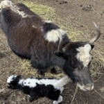 Muzyczne podróże przez świat. Szczyty marzeń - Radio Kielce