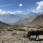 Muzyczne podróże przez świat. Szczyty marzeń - Radio Kielce