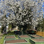 W kwietniu działkowcy się nie nudzą - Radio Kielce