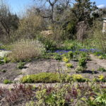 W kwietniu działkowcy się nie nudzą - Radio Kielce