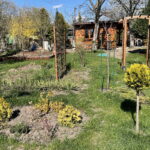 W kwietniu działkowcy się nie nudzą - Radio Kielce