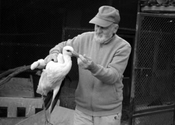 Zmarł twórca azylu dla rannych i chorych zwierząt