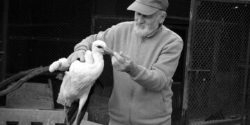 Zmarł twórca azylu dla rannych i chorych zwierząt