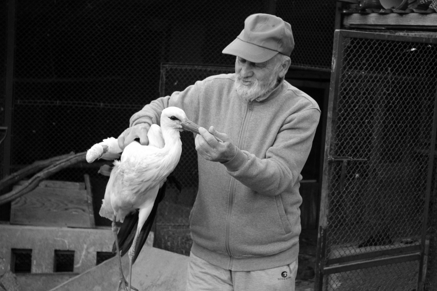Zmarł twórca azylu dla rannych i chorych zwierząt