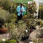 Targi DOM, OGRÓD i TY - Radio Kielce