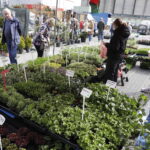 Targi DOM, OGRÓD i TY - Radio Kielce