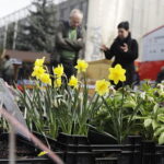 Targi DOM, OGRÓD i TY - Radio Kielce