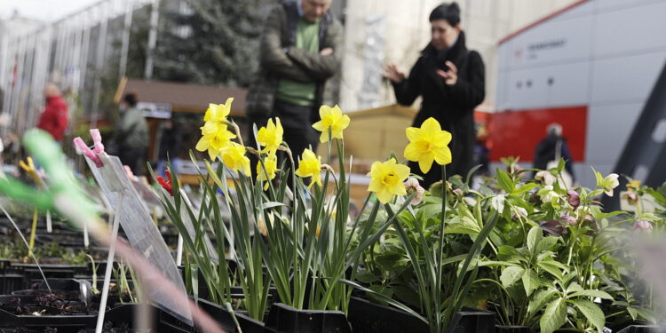 Po zimie szukamy w ogrodzie kolorów i relaksu