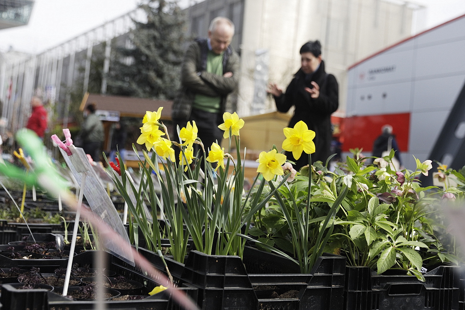 Targi DOM, OGRÓD i TY
