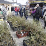 Targi DOM, OGRÓD i TY - Radio Kielce