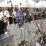 Targi DOM, OGRÓD i TY - Radio Kielce