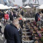 Targi DOM, OGRÓD i TY - Radio Kielce