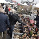 Targi DOM, OGRÓD i TY - Radio Kielce