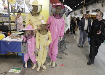 12.04.2026 Kielce. targi pszczelarskie / Fot. Jarosław Kubalski - Radio Kielce