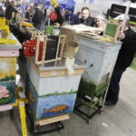 Kielce. Targi pszczelarskie - Radio Kielce