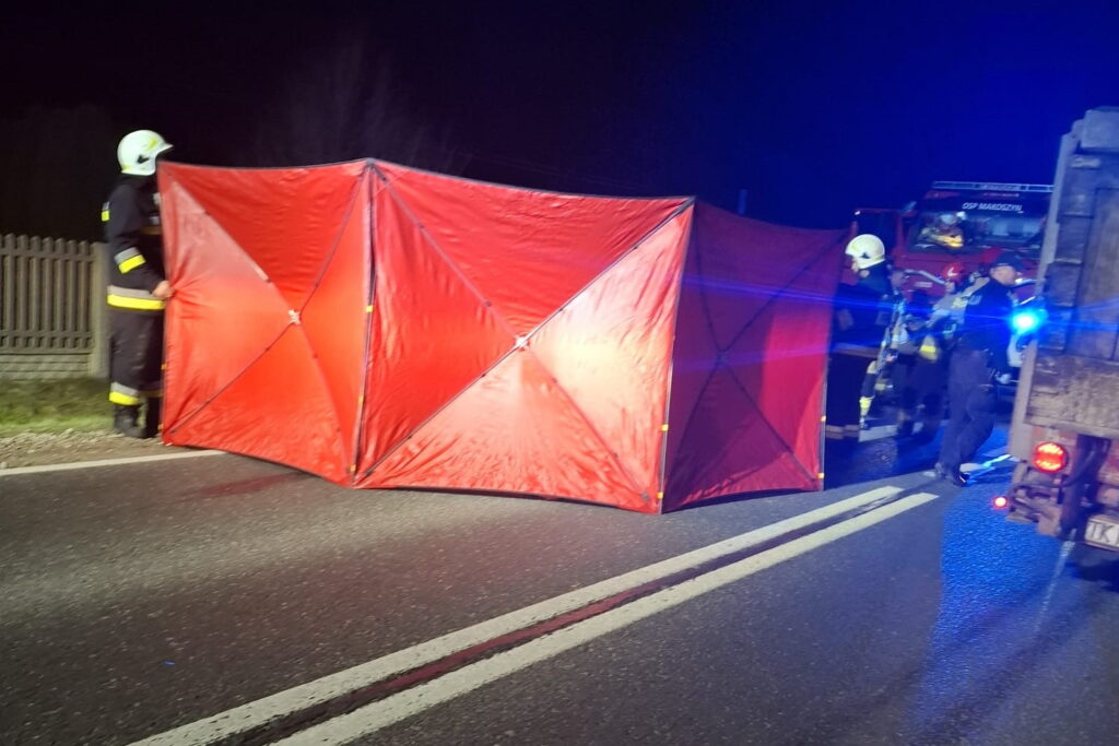 Śmierć na drodze. Nie żyje pieszy