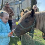 Unikalna Zagroda Zajączka Wielkanocnego