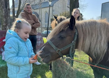 Unikalna Zagroda Zajączka Wielkanocnego