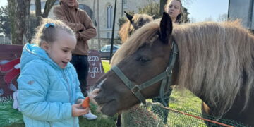 Unikalna Zagroda Zajączka Wielkanocnego