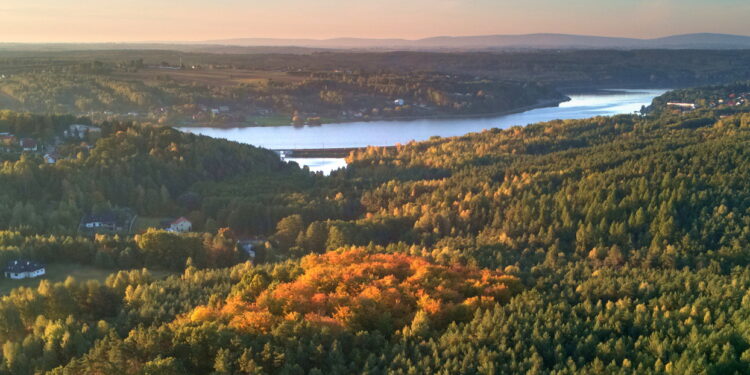 Źródło: brody.info.pl