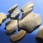 Odkrycie archeologiczne / Fot. dr hab Marek Florek