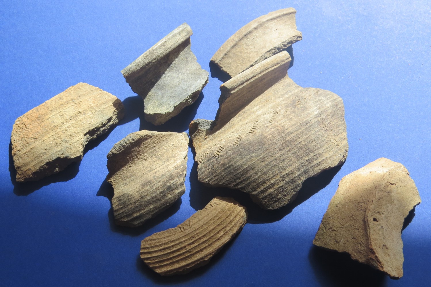 Osadę z wcześnego średniowiecza odkryto pod Sandomierzem