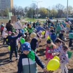 Ostrowiec Świętokrzyski Łąka kwietna / Fot. UM Ostrowiec
