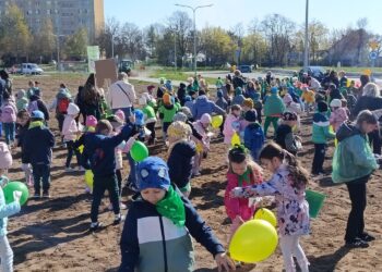 Ostrowiec Świętokrzyski Łąka kwietna / Fot. UM Ostrowiec