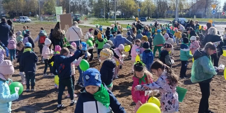 Ostrowiec Świętokrzyski Łąka kwietna / Fot. UM Ostrowiec