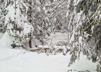 Tatry / Fot. Filip Filar, TPN - Źródło: Tatrzański Park Narodowy - Facebook