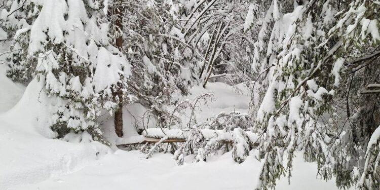 Tatry / Fot. Filip Filar, TPN - Źródło: Tatrzański Park Narodowy - Facebook