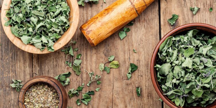 Warto posiać majeranek w ogrodzie i wykorzystać w kuchni