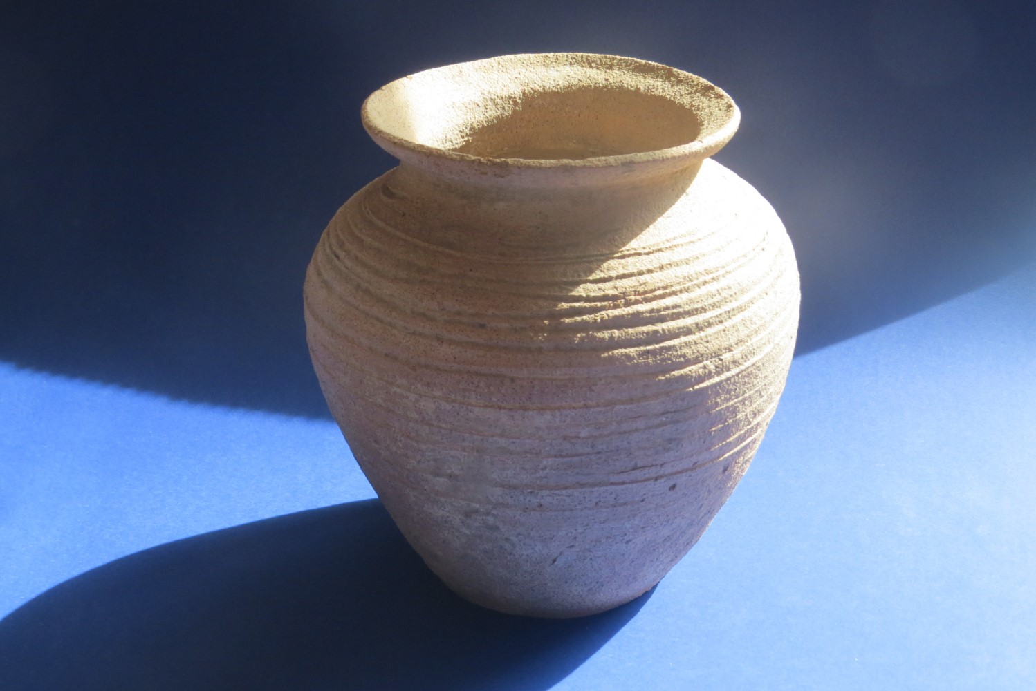 Osadę z wcześnego średniowiecza odkryto pod Sandomierzem