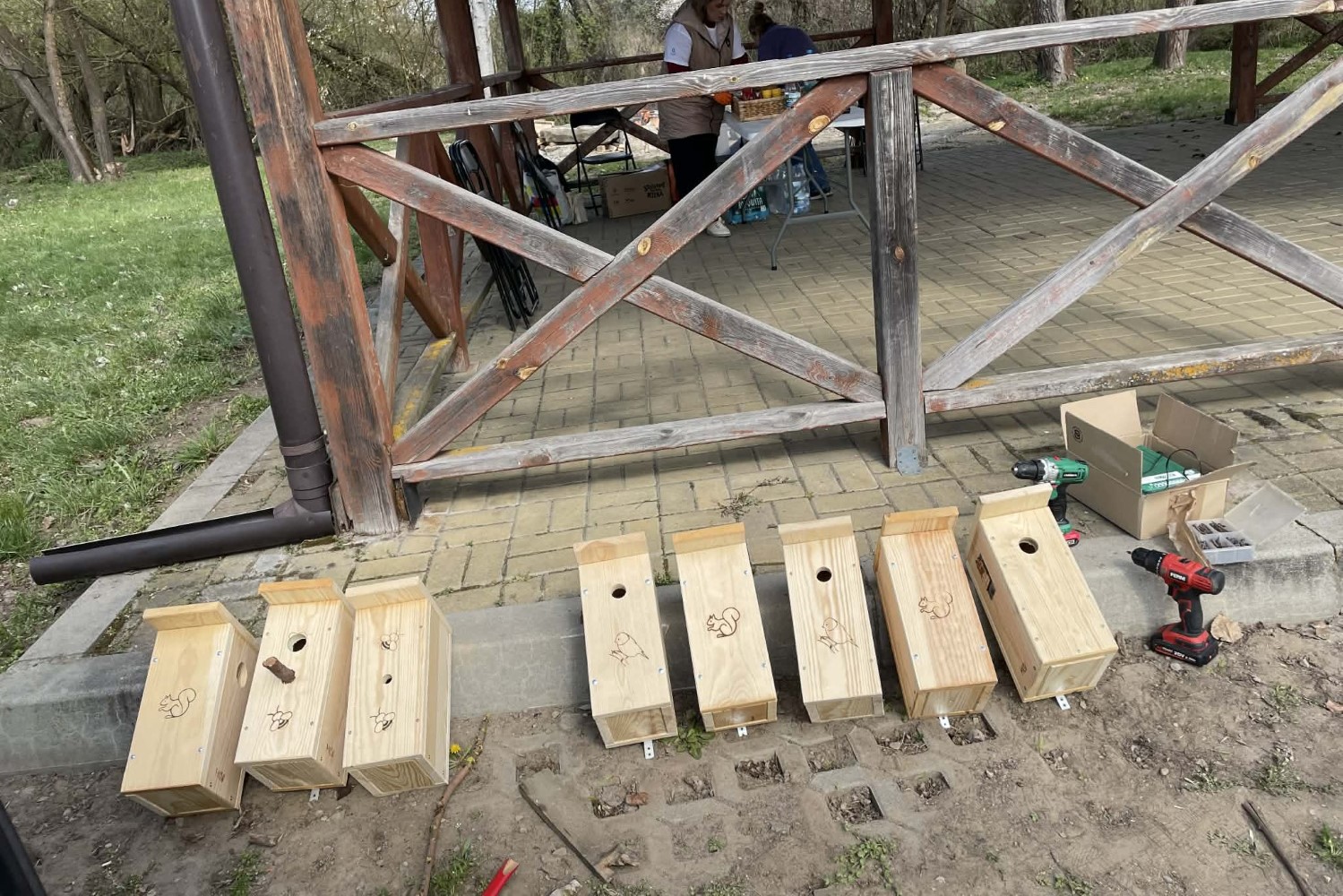 Koprzywnica. Budki lęgowe / Fot. Grażyna Szlęzak-Wójcik - Radio Kielce