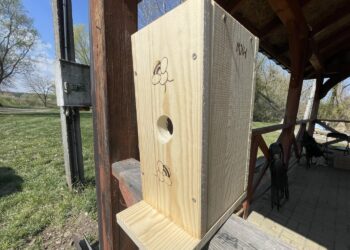 Koprzywnica. Budki lęgowe / Fot. Grażyna Szlęzak-Wójcik - Radio Kielce