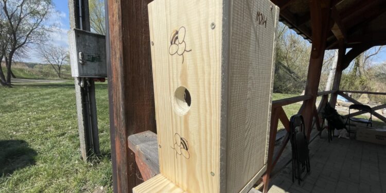 Koprzywnica. Budki lęgowe / Fot. Grażyna Szlęzak-Wójcik - Radio Kielce