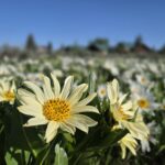 Muzyczne podróże przez świat. Dzika natura USA. Cz.4 - Radio Kielce