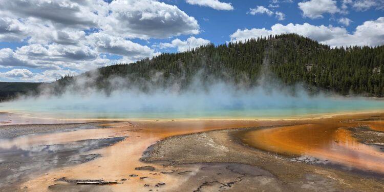 USA. Park Narodowy Yellowstone. / Fot. Danuta Rasała