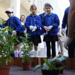 29.05.2026. Kielce. Uczniowie z kieleckiego Nazaretu posadzili drzewa miododajne przed Urzędem Marszałkowskim Województwa Świętokrzyskiego w Kielcach / Fot. Wiktor Taszłow - Radio Kielce