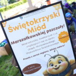 29.05.2026. Kielce. Uczniowie z kieleckiego Nazaretu posadzili drzewa miododajne przed Urzędem Marszałkowskim Województwa Świętokrzyskiego w Kielcach / Fot. Wiktor Taszłow - Radio Kielce