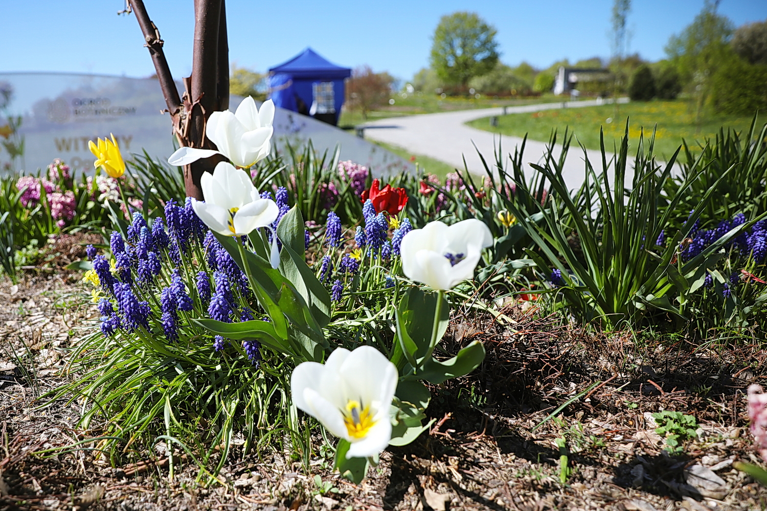 Kielce. Ogród Botaniczny