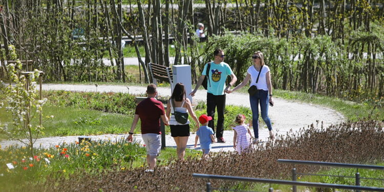 Ogród botaniczny w Kielcach znów otwarty dla zwiedzających