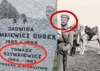 Odkrywamy losy najsłynniejszego świętokrzyskiego ordynansa