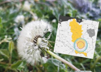 IMGW ostrzega przed przymrozkami. Zagrożone także świętokrzyskie