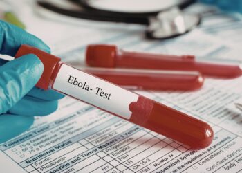 Ebola szybko się rozprzestrzenia. GIS: sytuacja jest poważna